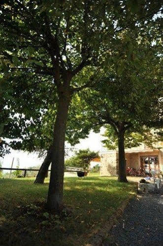 Villa Il Casale Di Mario à Montecchio  Extérieur photo